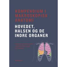 Kompendium i makroskopisk anatomi - hovedet, halsen og de indre organer (Hæftet, 2020)