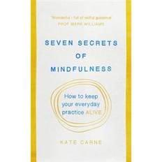 Seven Secrets of Mindfulness (Paperback, 2016)