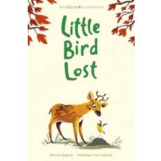 Little Bird Lost (Hardcover, 2020)