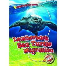 Leatherback Sea Turtle Migration (Indbundet, 2019)