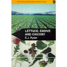 Lettuce, Endive and Chicory (Paperback, 1999)