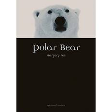 Polar bear Polar Bear