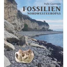 Fossilien Nordwesteuropas: Tysk udgave (Indbundet, 2020)