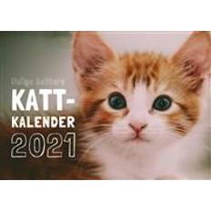 Kattkalender Roliga katters kattkalender 2021