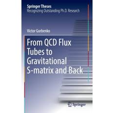 From QCD Flux Tubes to Gravitational S-matrix and Back (Gebunden, 2016)