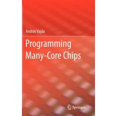 Books Programming Many-Core Chips (Hardcover, 2011)