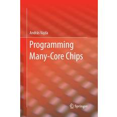 Books Programming Many-Core Chips (Paperback, 2014)