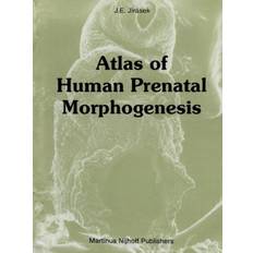 Prenatal Atlas of Human Prenatal Morphogenesis