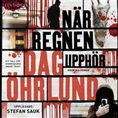 När regnen upphör (Ljudbok, MP3)