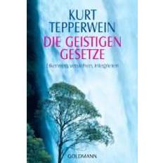 Philosophie & Religion Bücher Die Geistigen Gesetze (Geheftet, 2002)