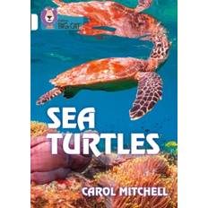 Sea Turtles: Band 10/White (2020)