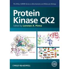 Ck2 Protein Kinase CK2 (Indbundet, 2012)