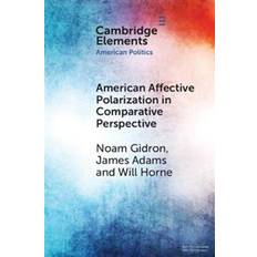 American Affective Polarization in Comparative Perspective (Paperback, 2020)