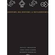 Price history History, Big History, & Metahistory (Hardcover, 2018)