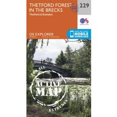 Thetford Forest in the Brecks (2015)
