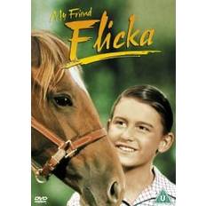 Enfants DVD My Friend Flicka