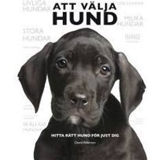 Att välja hund: hitta rätt hund för just dig (Inbunden)