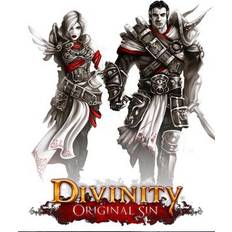 Divinity: Original Sin - Enhanced Edition (PC)