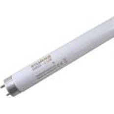 Sylvania 0000043 Fluorescent Lamp 14W G13