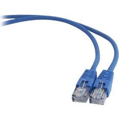 Cables Gembird PP12 Cat5e RJ45 0.2m