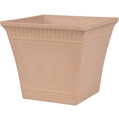 Psatha Pot