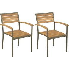 Garden & Outdoor Furniture vidaXL 44236 2-pack Garden Dining Chair