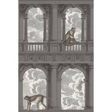 Cole & Son Tapete Procuratie con Vista von and Soot Snow grau