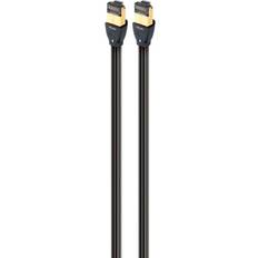 Pearl RJ45