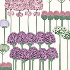 Cole & Son Stauden Tapete Allium von and Purple White viola/viola