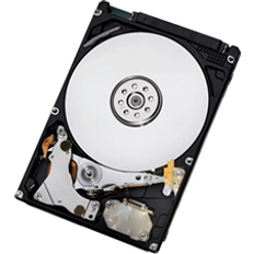 2tb hdd 7200rpm IBM 2 TB / SATA / 7200rpm (59Y5536)