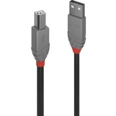 Lindy Anthra Line USB A-USB B 2.0