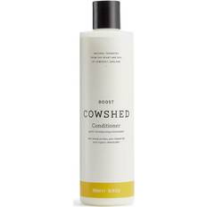 Boost Conditioner