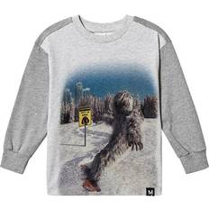 Molo Risci Yeti Grey Unisex Camiseta de Manga Corta