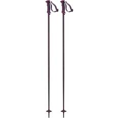 Black Downhill Ski Poles Salomon Arctic Lady