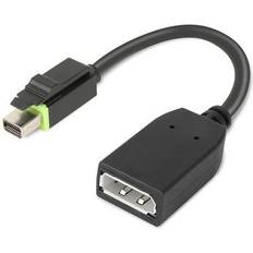 Lenovo ThinkStation Mini DisplayPort-DisplayPort M-F Adapter