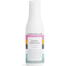 Repair Hairmask