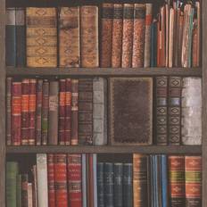 Library Books (934809)