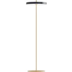 Asteria Floor