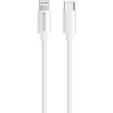 Champion Electronics USB C-Lightning 3.1