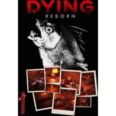 Dying: Reborn (PC)