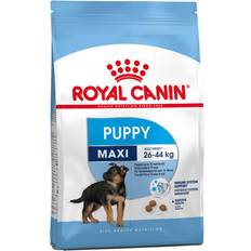 Maxi Puppy