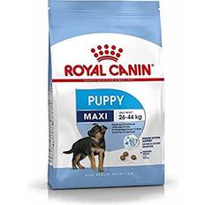 Royal Canin Maxi Puppy