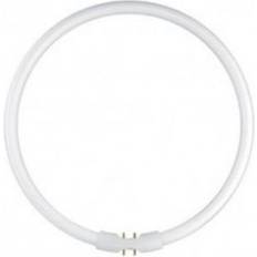 BELL Lighting 05469 Fluorescent Lamp 60W 2GX13