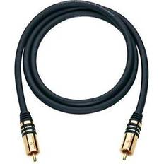 NF Subwoofer 1RCA - 1RCA