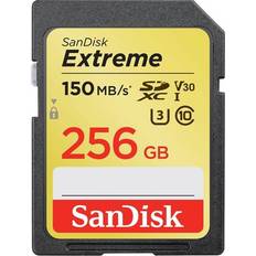 Sandisk 256gb uhs i SanDisk 256GB Exrteme SDXC Classe 10 UHS-I