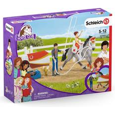 Gato Conjuntos de juego Schleich 42443 Entrenamiento Acrobático