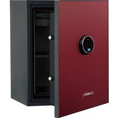Phoenix LS6012