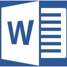 Microsoft Word 2010