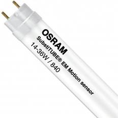 Osram 14w Osram ST8MS-EM LED Lamps 14W G13