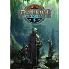 Avernum 2: Crystal Souls (PC)